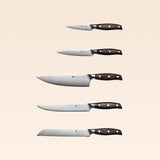 Classic 5-piece Chef’s Knife Set